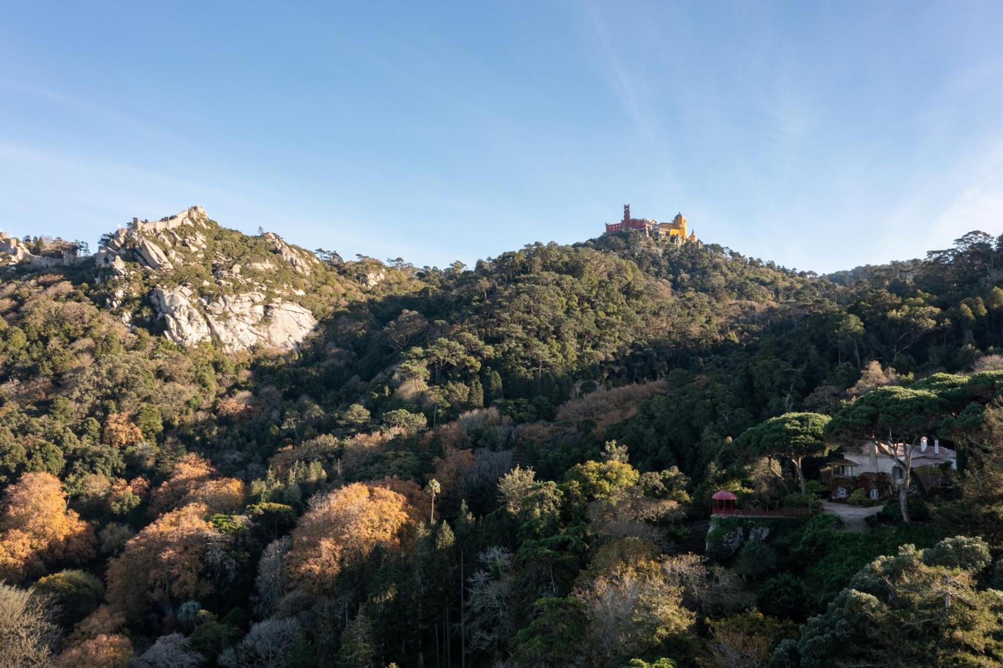 Chalet Chapeu De Sol - Sintra Kültér fotó