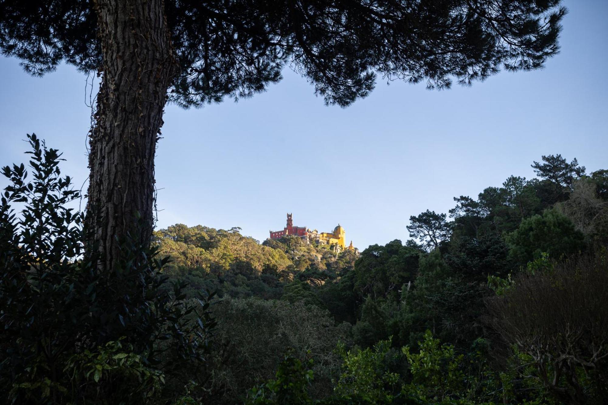 Chalet Chapeu De Sol - Sintra Kültér fotó