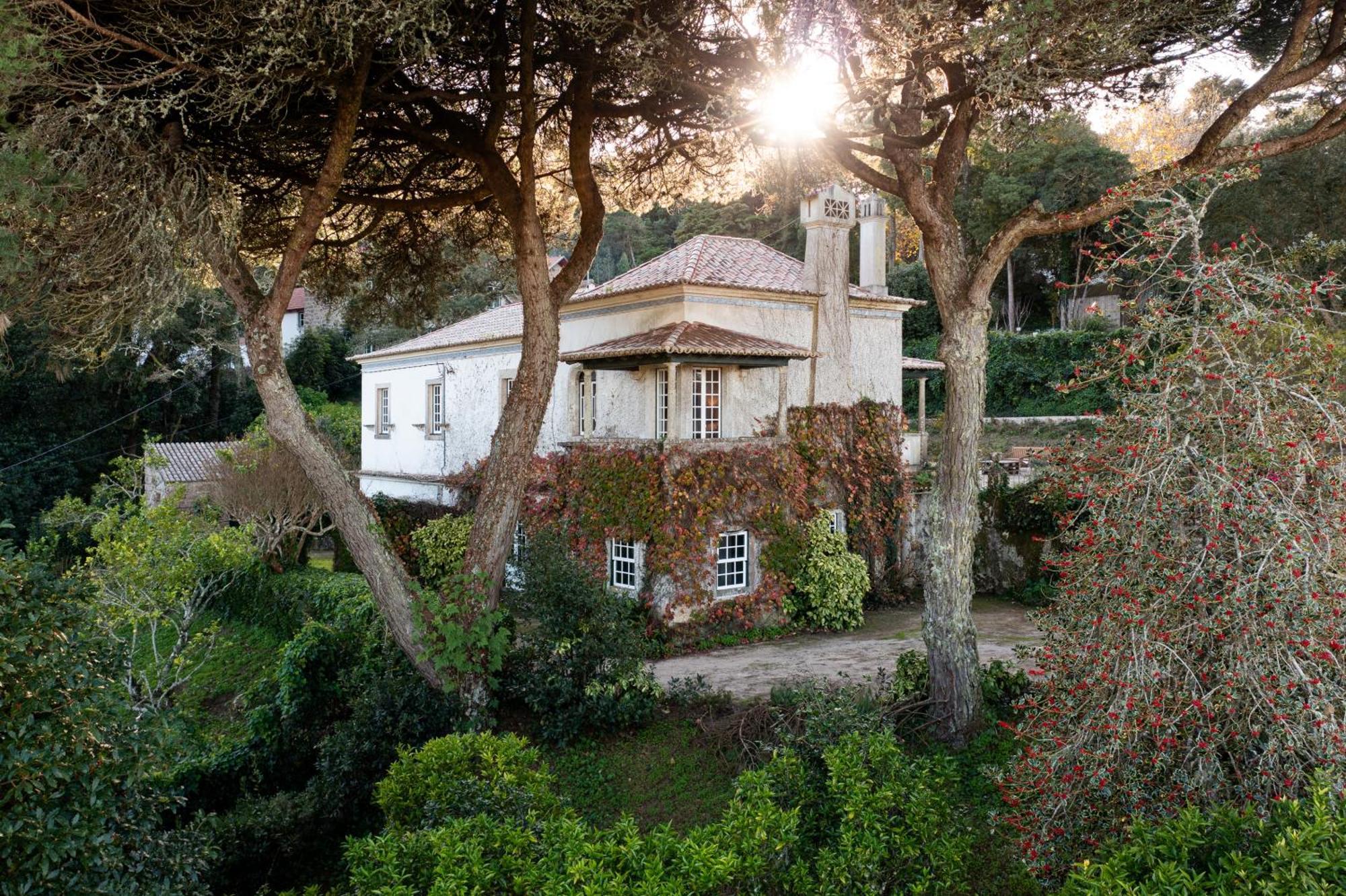 Chalet Chapeu De Sol - Sintra Kültér fotó